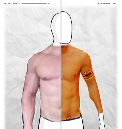 Torso Comparison