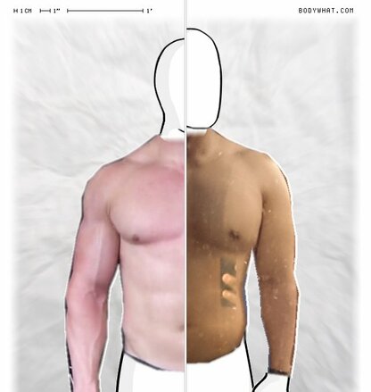 Torso Comparison