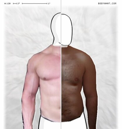 Torso Comparison