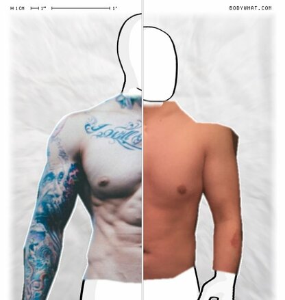 Torso Comparison