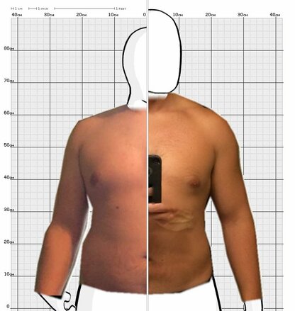 Torso Comparison