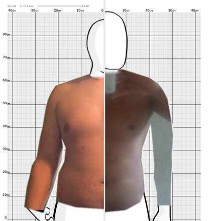 Torso Comparison