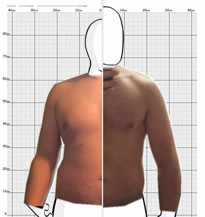 Torso Comparison