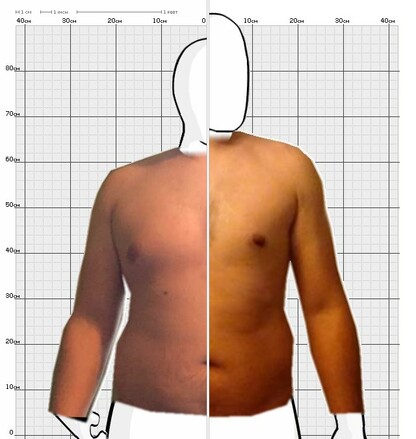 Torso Comparison