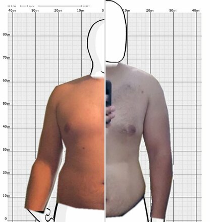 Torso Comparison