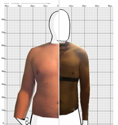 Torso Comparison