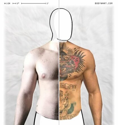 Torso Comparison