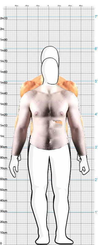 Full Size Comparison