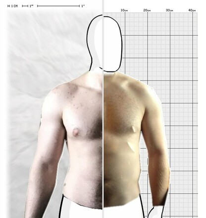 Torso Comparison