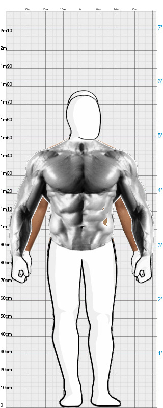 Full Size Comparison