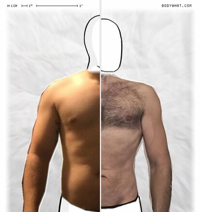 Torso Comparison