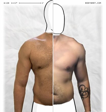 Torso Comparison