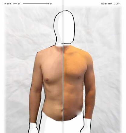 Torso Comparison