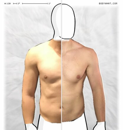 Torso Comparison