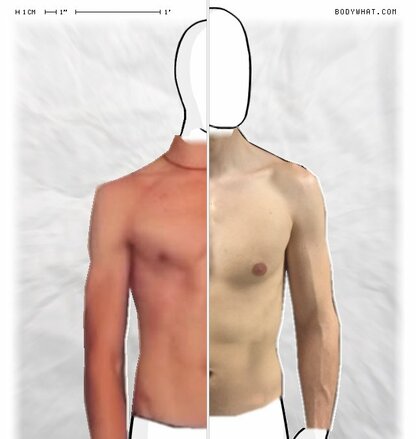 Torso Comparison