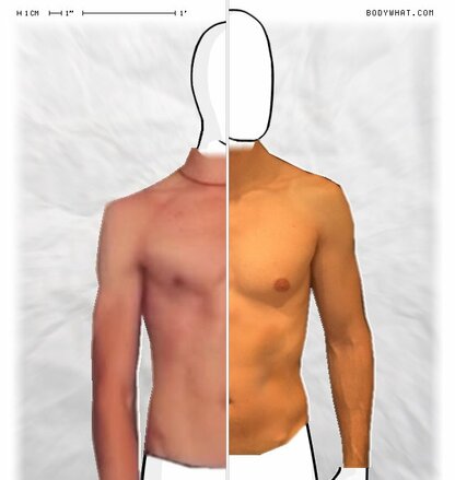 Torso Comparison