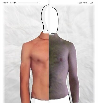 Torso Comparison