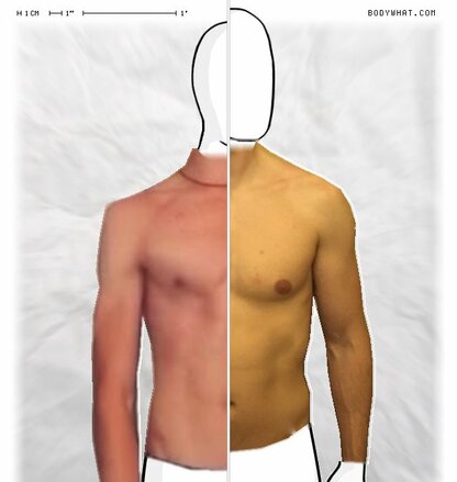 Torso Comparison