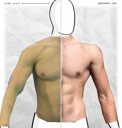 Torso Comparison