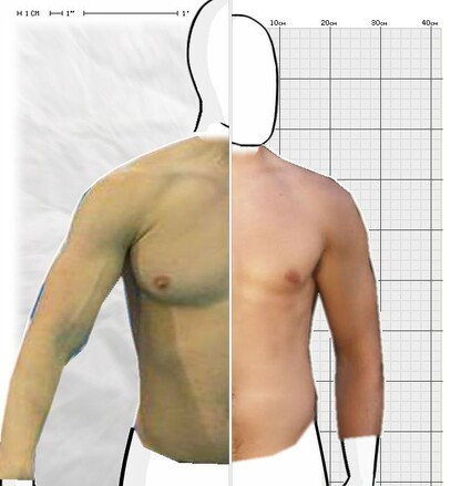 Torso Comparison