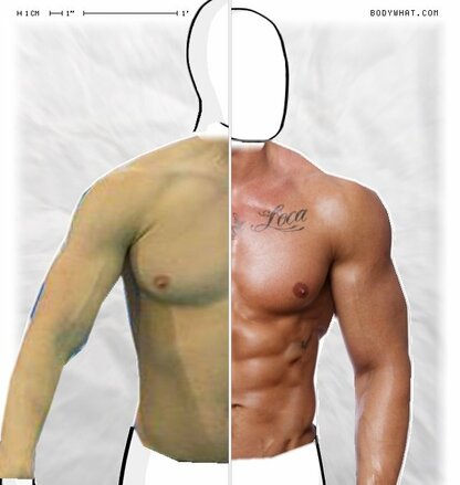 Torso Comparison