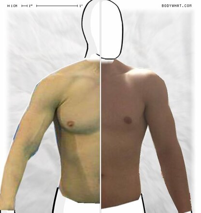 Torso Comparison