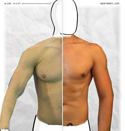 Torso Comparison