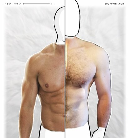 Torso Comparison