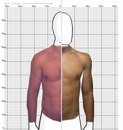 Torso Comparison