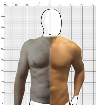 Torso Comparison