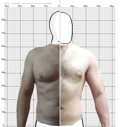 Torso Comparison