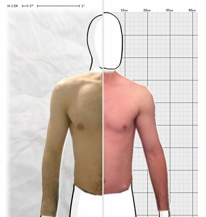 Torso Comparison