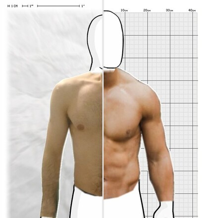 Torso Comparison