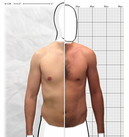 Torso Comparison