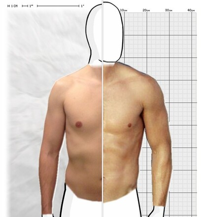 Torso Comparison