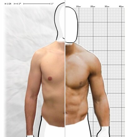 Torso Comparison