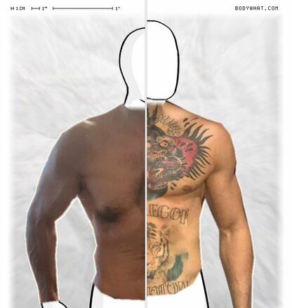 Torso Comparison