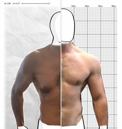 Torso Comparison