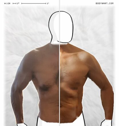 Torso Comparison