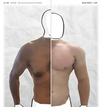 Torso Comparison