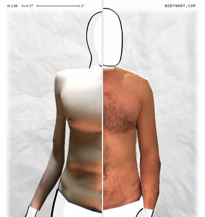 Torso Comparison