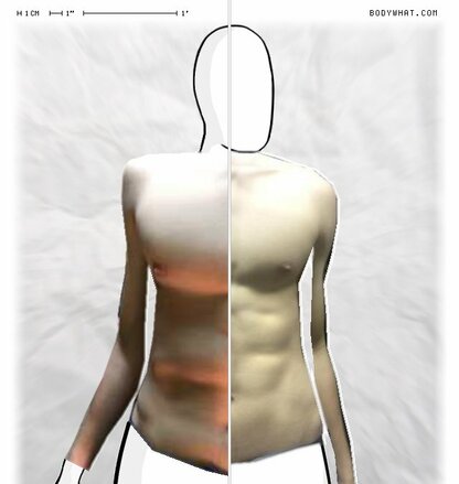 Torso Comparison