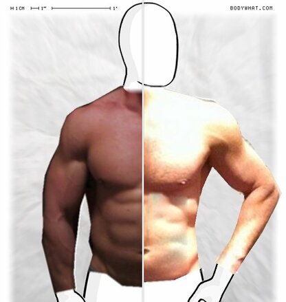 Torso Comparison