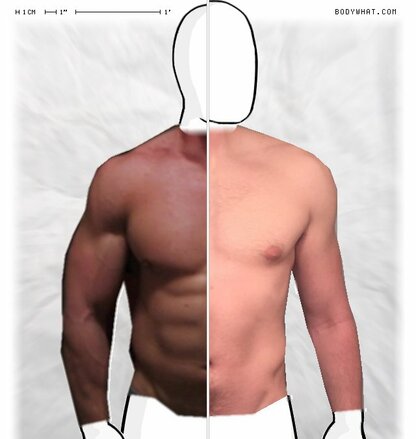 Torso Comparison