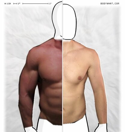 Torso Comparison