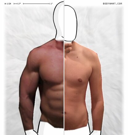 Torso Comparison