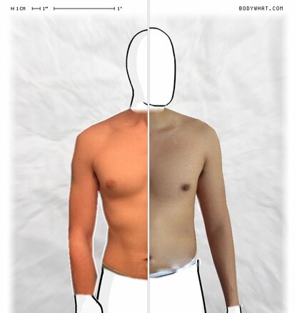 Torso Comparison