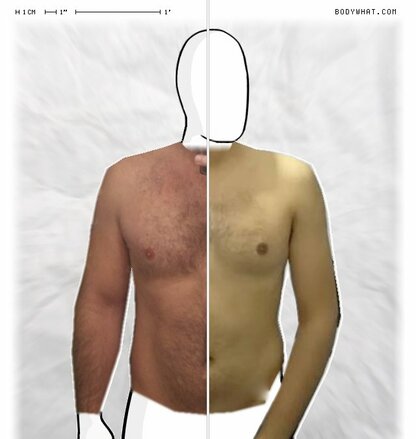 Torso Comparison