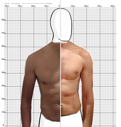 Torso Comparison