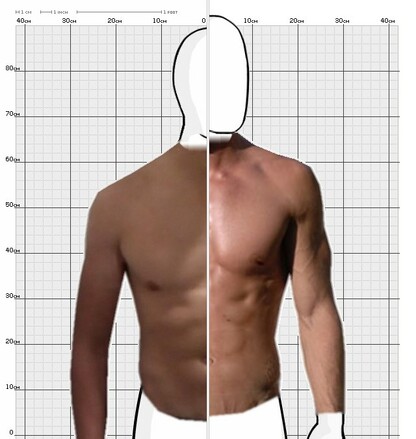 Torso Comparison